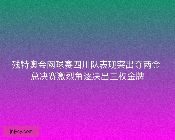 残特奥会网球赛四川队表现突出夺两金 总决赛激烈角逐决出三枚金牌